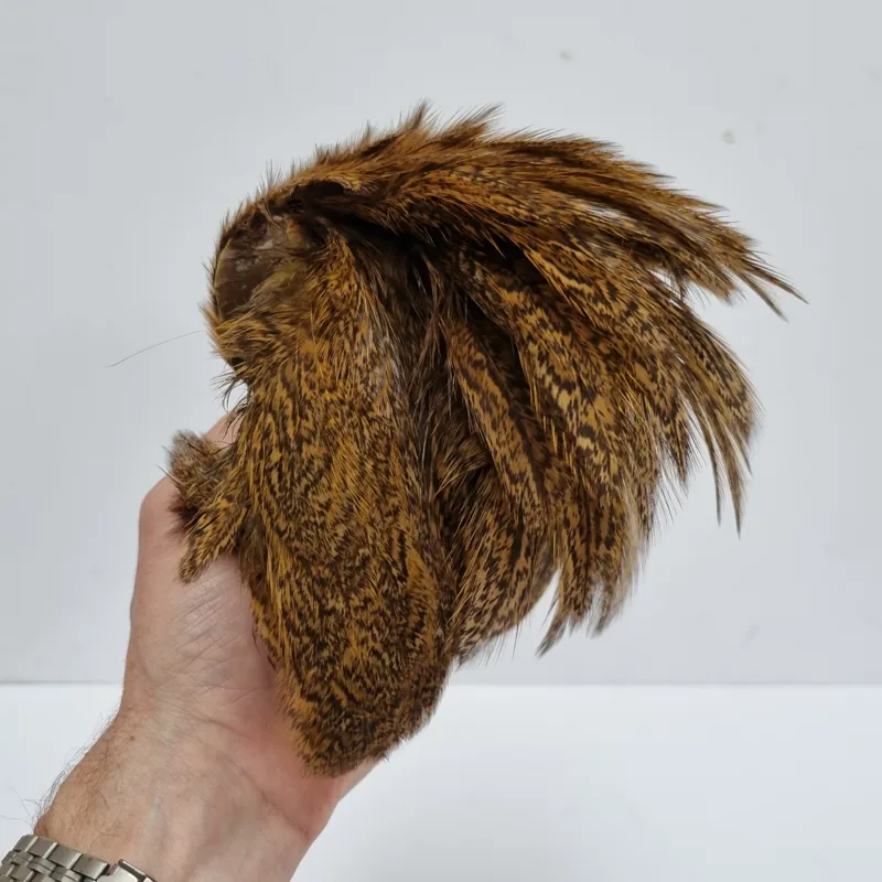 Whiting Coq de Leon Hen Cape in Speckled Copper Olive-10